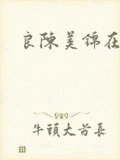 良陈美锦在哪看