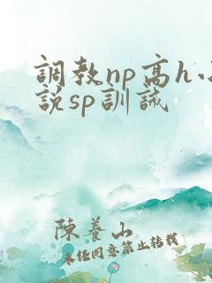 调教np高h小说sp训诫