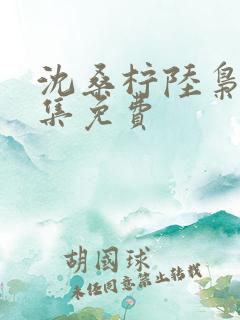 沈桑柠陆枭寒全集免费