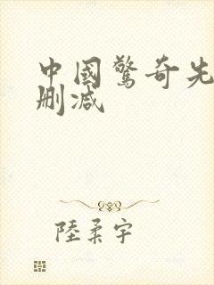 中国惊奇先生无删减