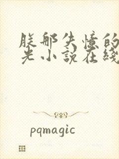 朕那失忆的白月光小说在线免费阅读