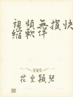 视频无损快速压缩软件