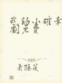 我的小确幸电视剧免费