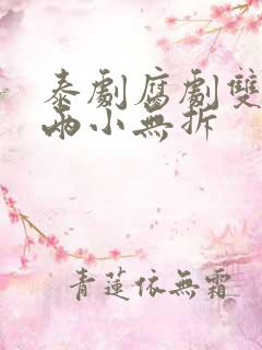 泰剧腐剧双男主两小无拆