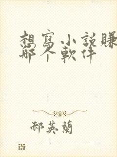 想写小说赚钱去哪个软件