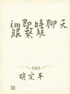 im即时聊天客服系统