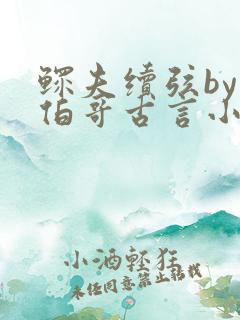 鳏夫续弦by大伯哥古言小说简介