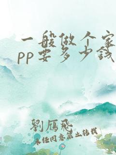 一般做个家政app要多少钱