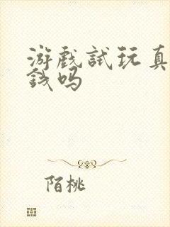 游戏试玩真能赚钱吗