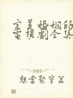 完美婚姻的定义电视剧全集免费观看