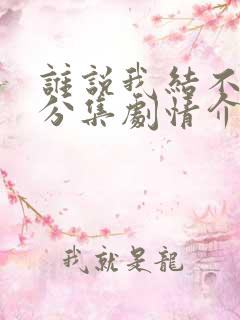 谁说我结不了婚分集剧情介绍