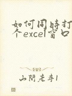 如何同时打开两个excel窗口