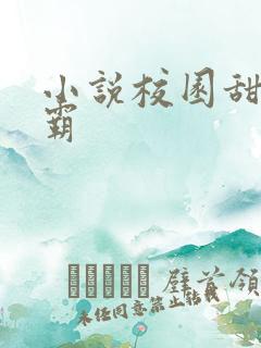 小说校园甜文校霸