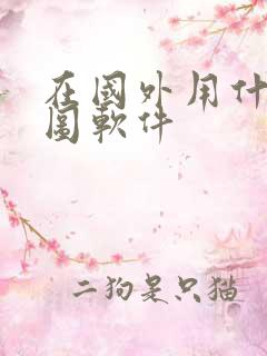 在国外用什么地图软件