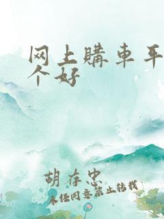 网上购车平台哪个好