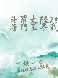 斗罗大陆2绝世唐门王冬武魂