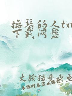 抚琴的人txt下载网盘