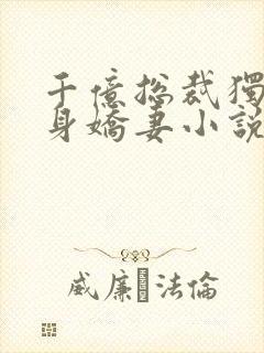 千亿总裁独宠替身娇妻小说版