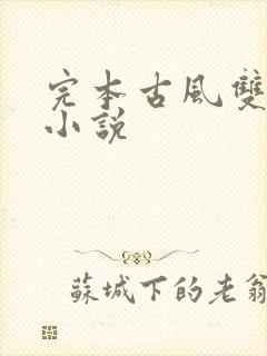 完本古风双男主小说