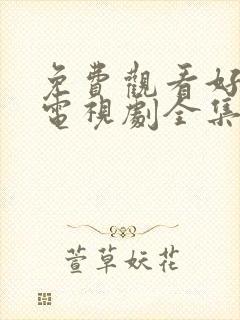 免费观看好先生电视剧全集高清