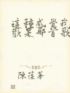 这种感觉我很喜欢是哪首歌的歌词