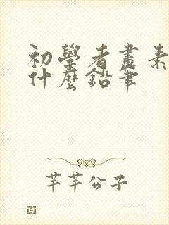 初学者画素描用什么铅笔