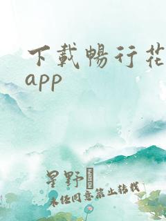 下载畅行花借款app