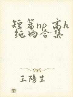 短篇np 高h 纯肉合集