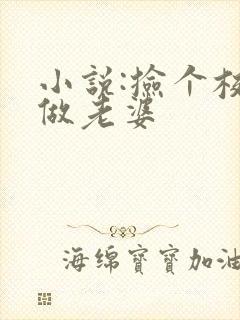 小说:捡个校花做老婆