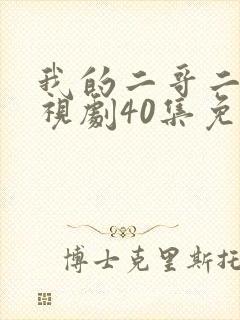 我的二哥二嫂电视剧40集免费观看