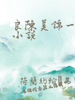 良陈美锦一样的小说