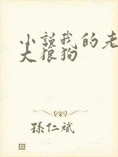 小说我的老公是大狼狗