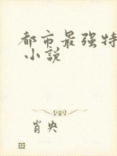 都市最强特种兵 小说