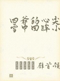四爷的心尖宠妃雪中回眸小说的免费阅读