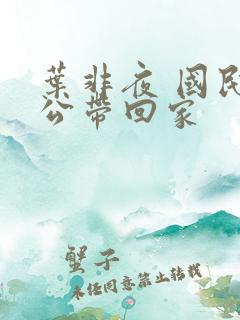 叶非夜 国民老公带回家