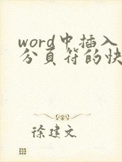 word中插入分页符的快捷键是