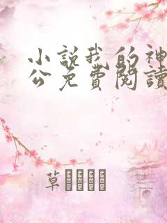 小说我的神秘老公免费阅读全文