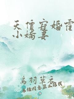 天价宠婚霍总是小娇妻