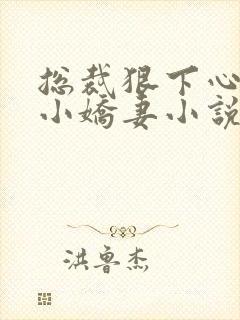 总裁狠下心来打小娇妻小说