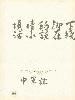 项晴的脚下的生活小说在线阅读