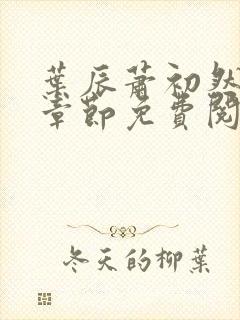 叶辰萧初然小说章节免费阅读