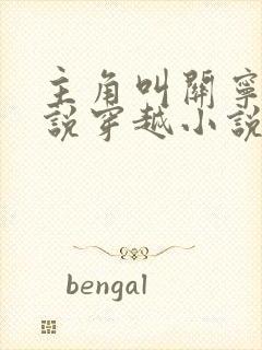 主角叫关宁的小说穿越小说