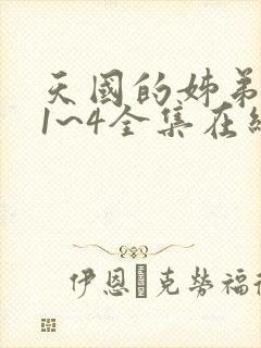 天国的姊弟动漫1~4全集在线观看免费