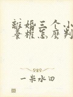 离婚三个小孩抚养权怎么判定