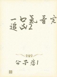 一口气看完白夜追凶2