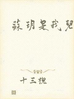 苏玥是我儿媳书