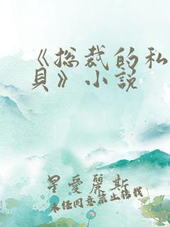 《总裁的私有宝贝》小说