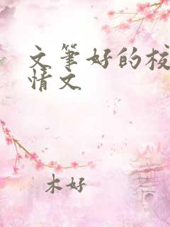 文笔好的校园言情文