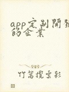 app定制开发的企业