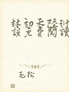 林初禾陆衍川小说免费阅读